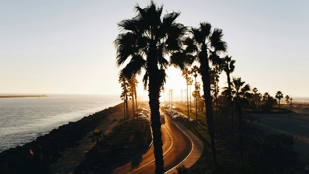 a road with palm trees and a body of water an example image of Title Search in California