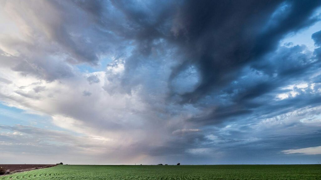 oklahoma deed search oklahoma lien search oklahoma title search how to find out who owns property in oklahoma oklahoma county title search property taxes oklahoma city county clerk office tax commission real estate personal property include information parcel number state of oklahoma public record county assessors property records phone number image of the crop field