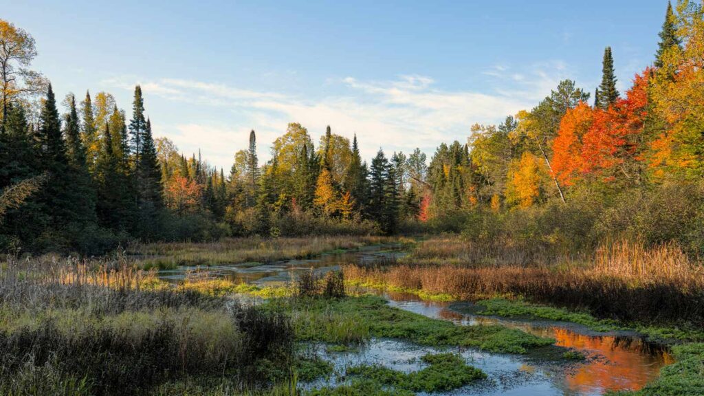 wisconsin lien search wisconsin title search wisconsin title lookup wisconsin real estate records wi lien search wi title search lien lookup wisconsin property owner search wisconsin wisconsin property search by name wisconsin title lien search property search wisconsin title search wisconsin wisconsin property deed search lien search wisconsin wisconsin mobile home title search wisconsin property lien search