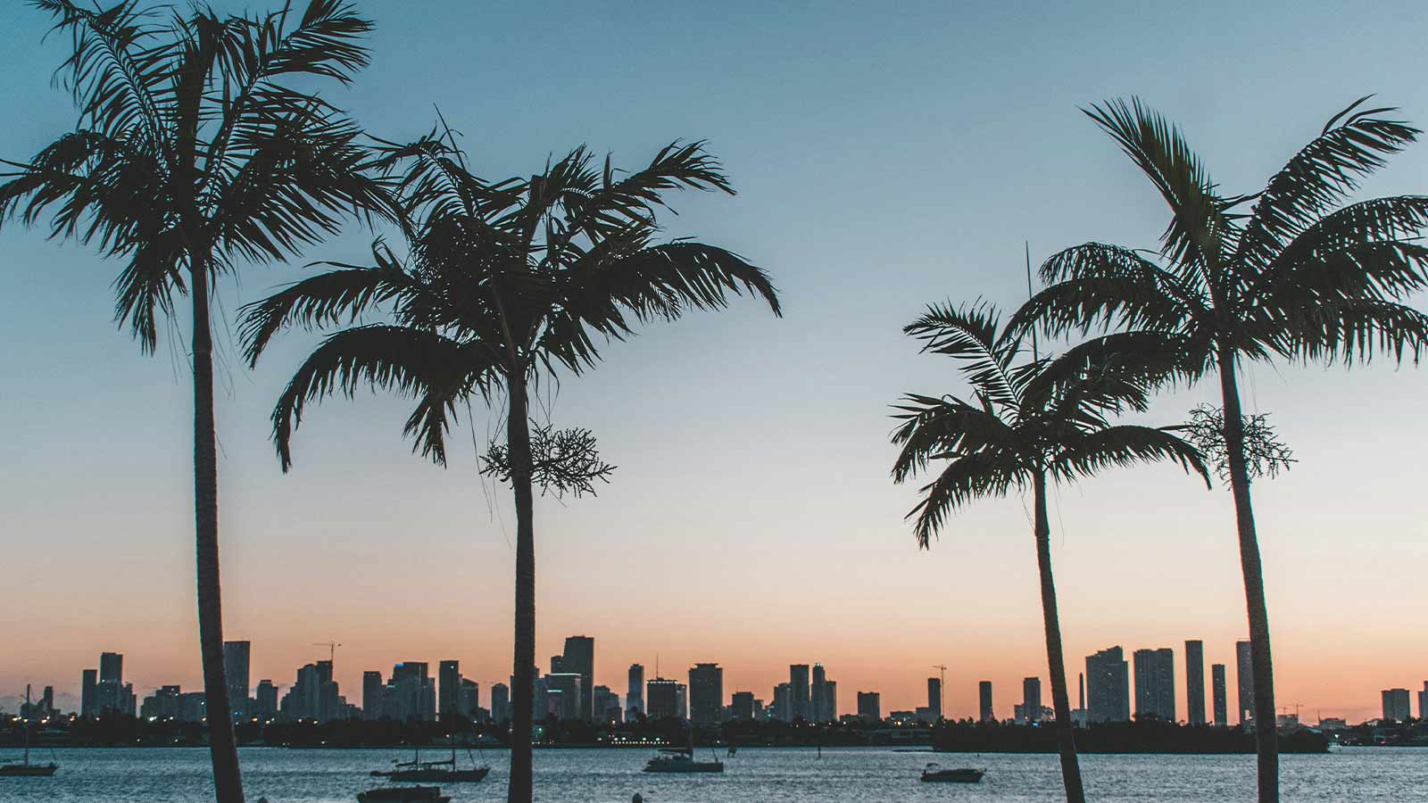 Understanding Tax Certificates & Tax Deed Sales in Florida Real Estate