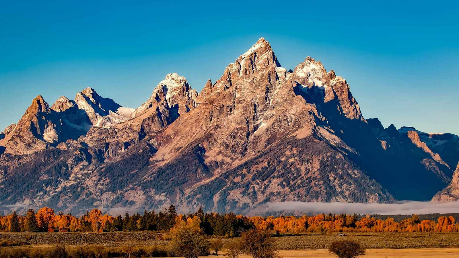 Are Environmental Lien Reports Accepted for SBA Loans?