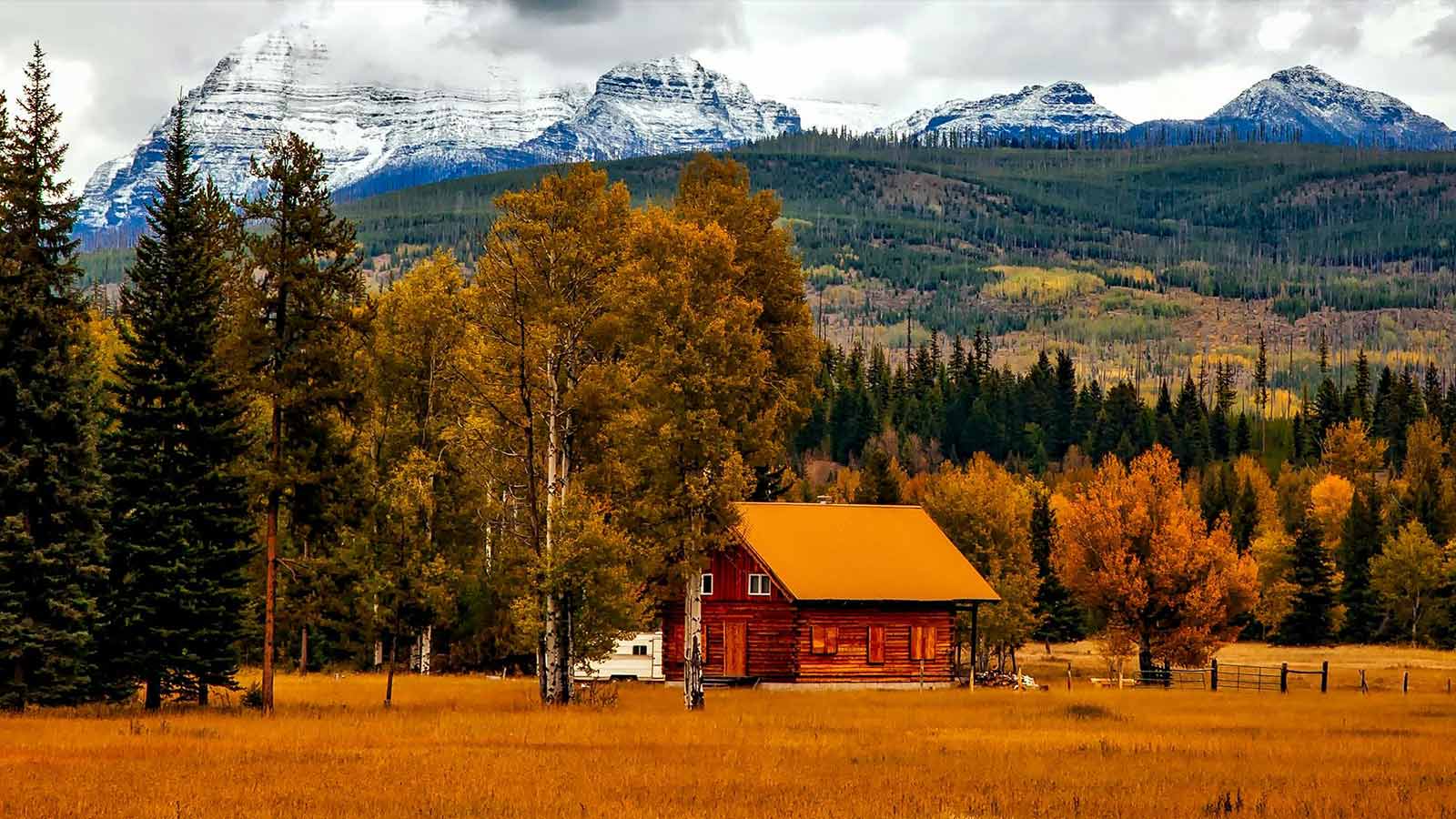 Colorado Property Title Search Guide