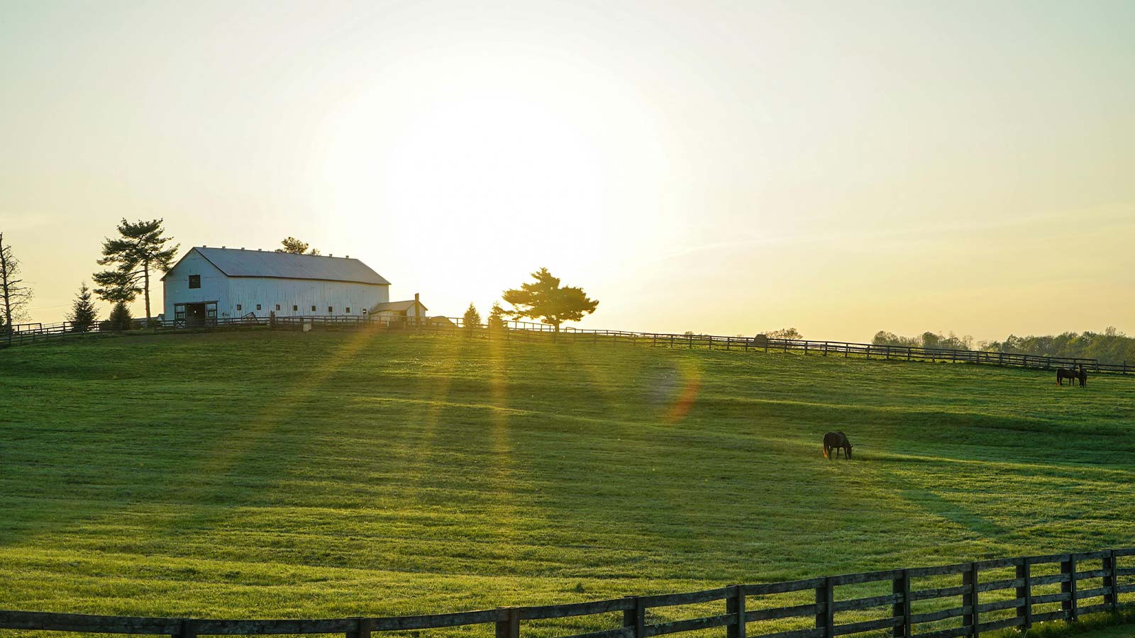 Kentucky Title Search Guide for Buyers & Mortgage Lenders