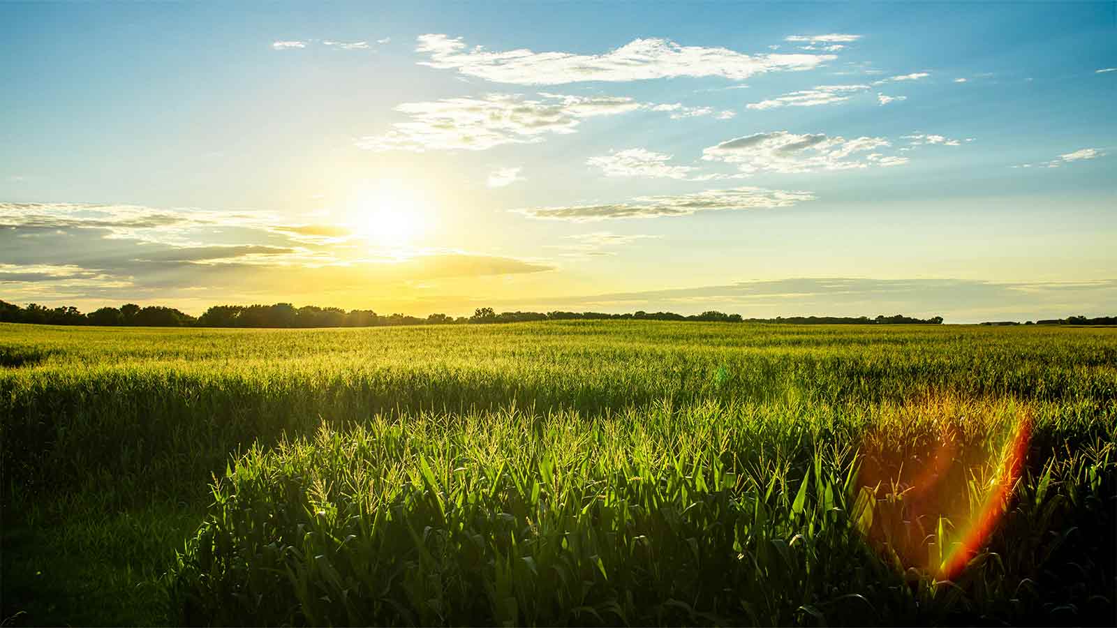 Iowa Title Search: Fast Abstracts & Mortgage Records by AFX