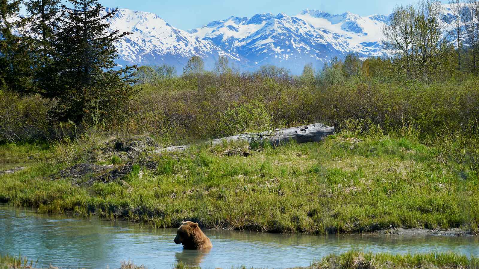 Alaska Title Search: Fast, Reliable Reports from AFX Research