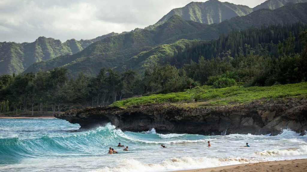 Surfers enjoying waves at beach AI Title Search in Hawaii