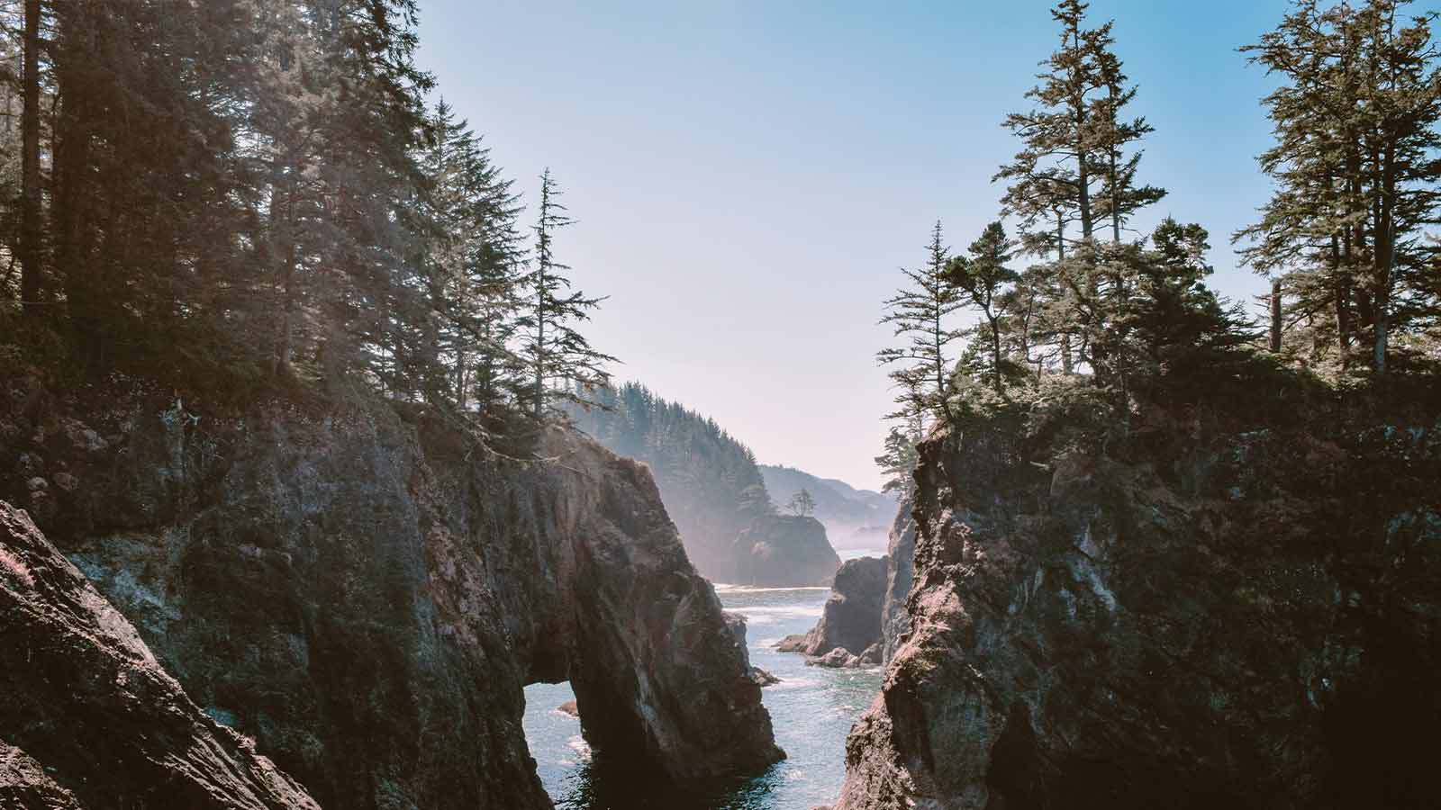 7 Powerful Ways Human-AI Collaboration Transforms Oregon Title Searches