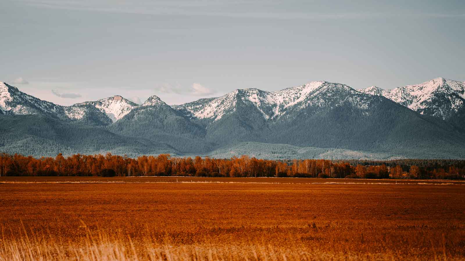 AI Title Search in Montana: 7 Powerful Reasons Accuracy Matters