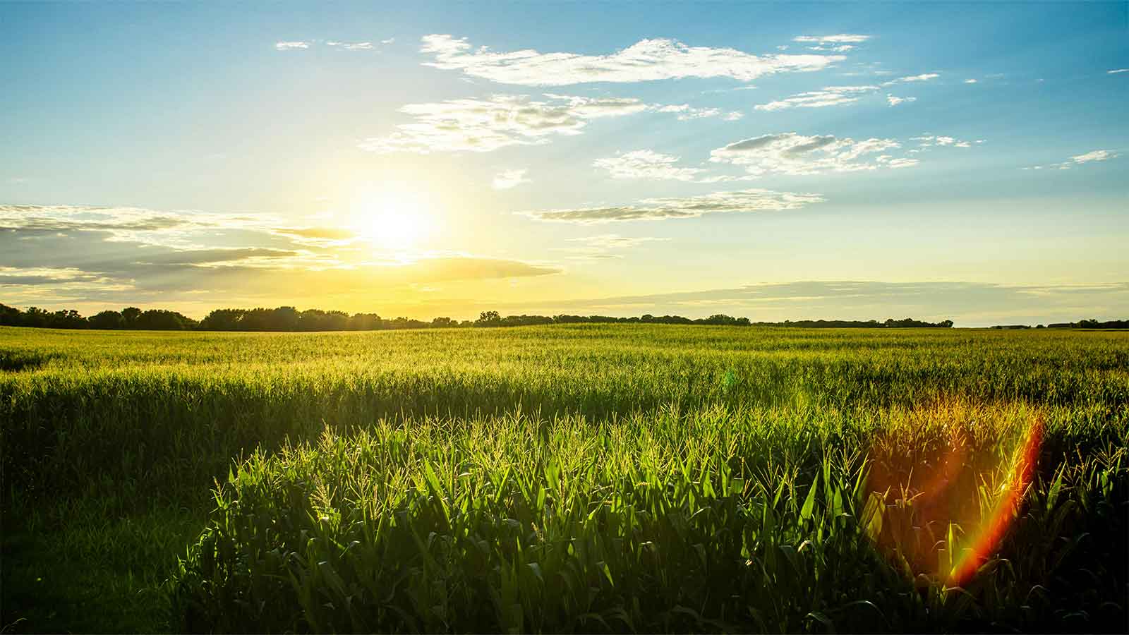 AI Title Search in Iowa: 7 Reasons AFX Leads Today