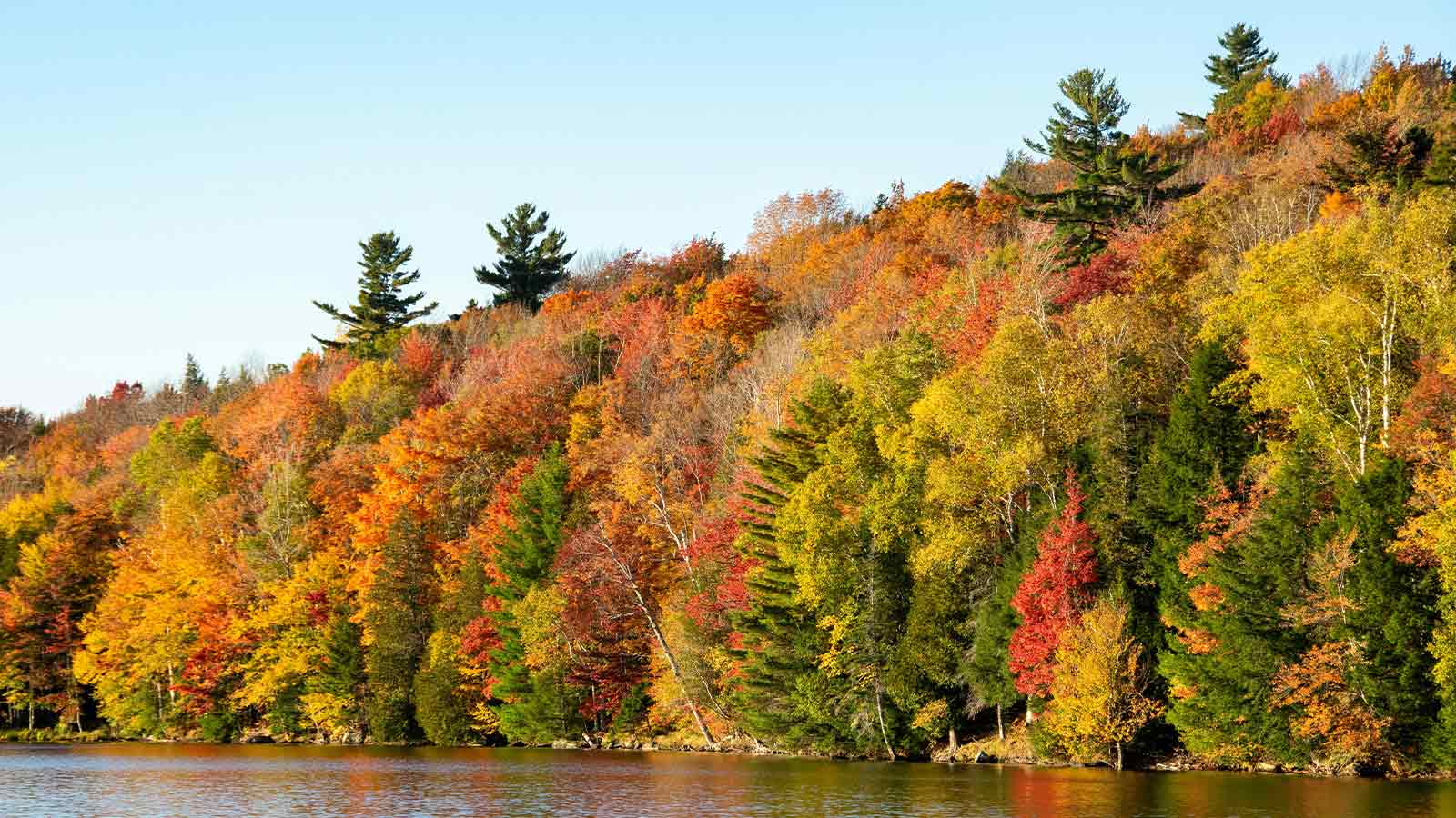 AI Title Search in Vermont: 7 Reasons Human Expertise Still Wins