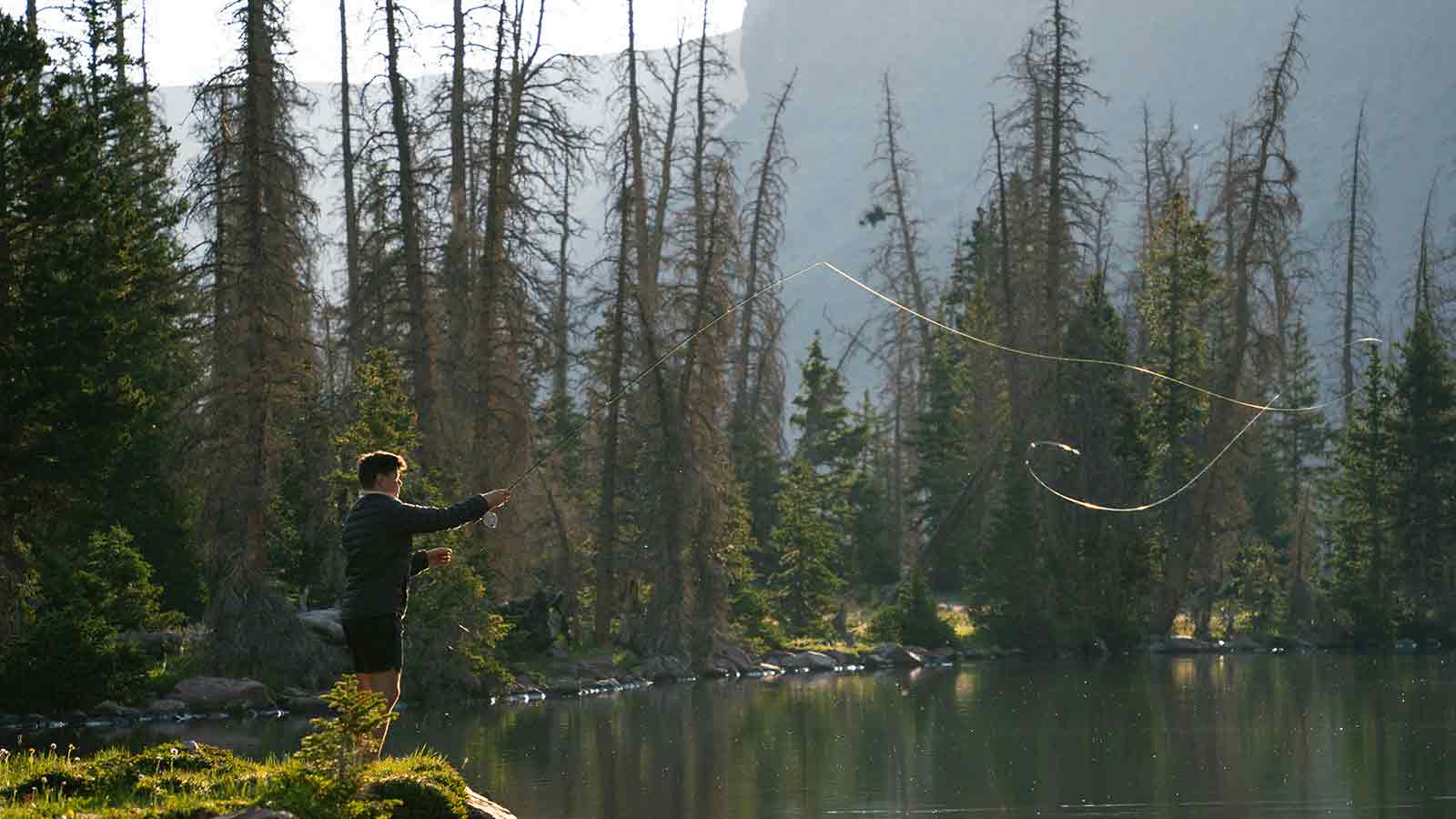 AI Title Search in West Virginia: 5 Reasons AFX Leads in Accuracy