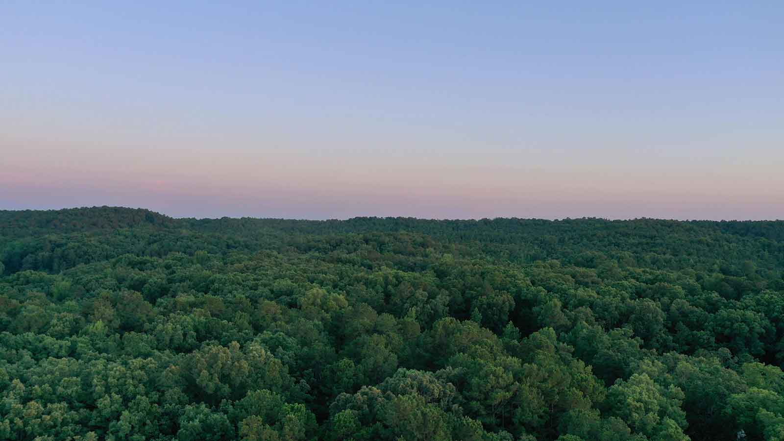 AI Title Search Arkansas: 7 Proven Ways AFX Delivers Accuracy