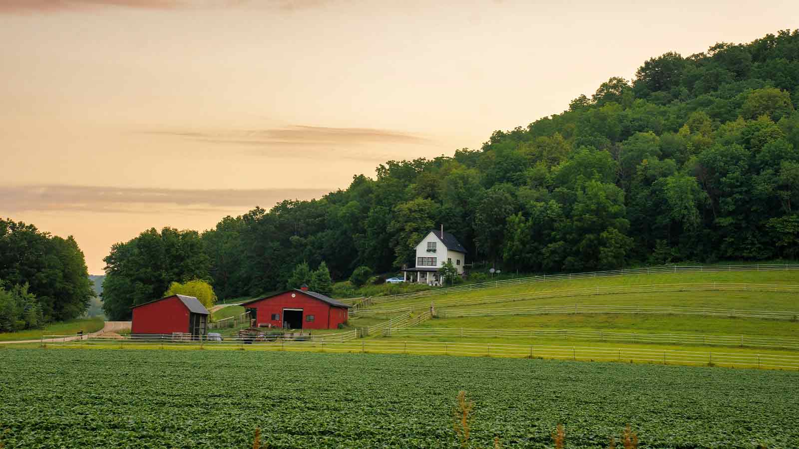 Property Title Search in Fulton County, GA: What Every Buyer, Seller, and Investor Needs to Know
