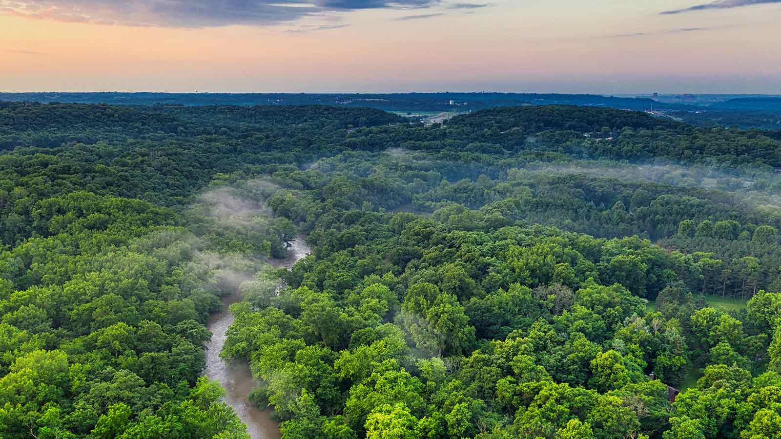 AI Title Search in Minnesota: Why Real-Time Accuracy Still Requires Human Verification