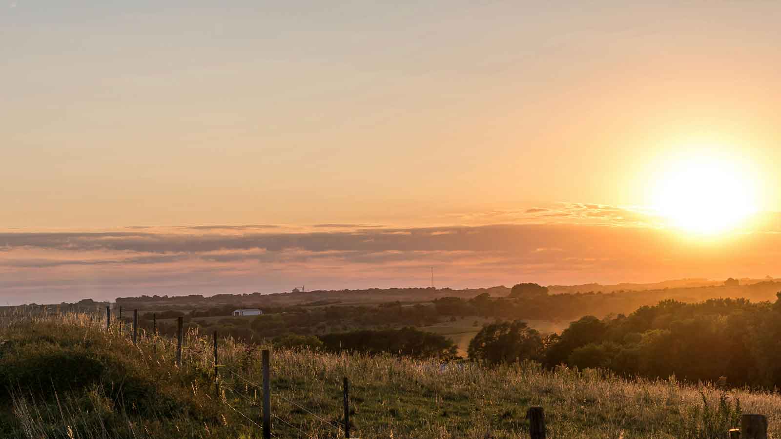 AI Title Search in Nebraska: 7 High-Impact Advantages